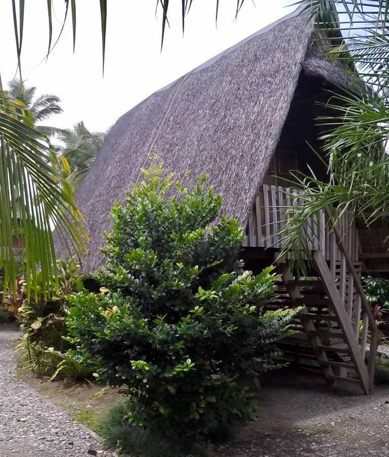 Nalu Surf Camp Hotel Baler Exterior photo