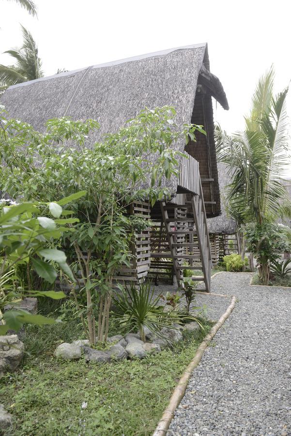 Nalu Surf Camp Hotel Baler Exterior photo